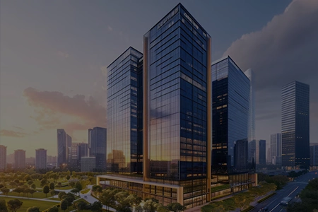 Vashi Wadhwa Project